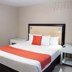 Habitación con Cama King